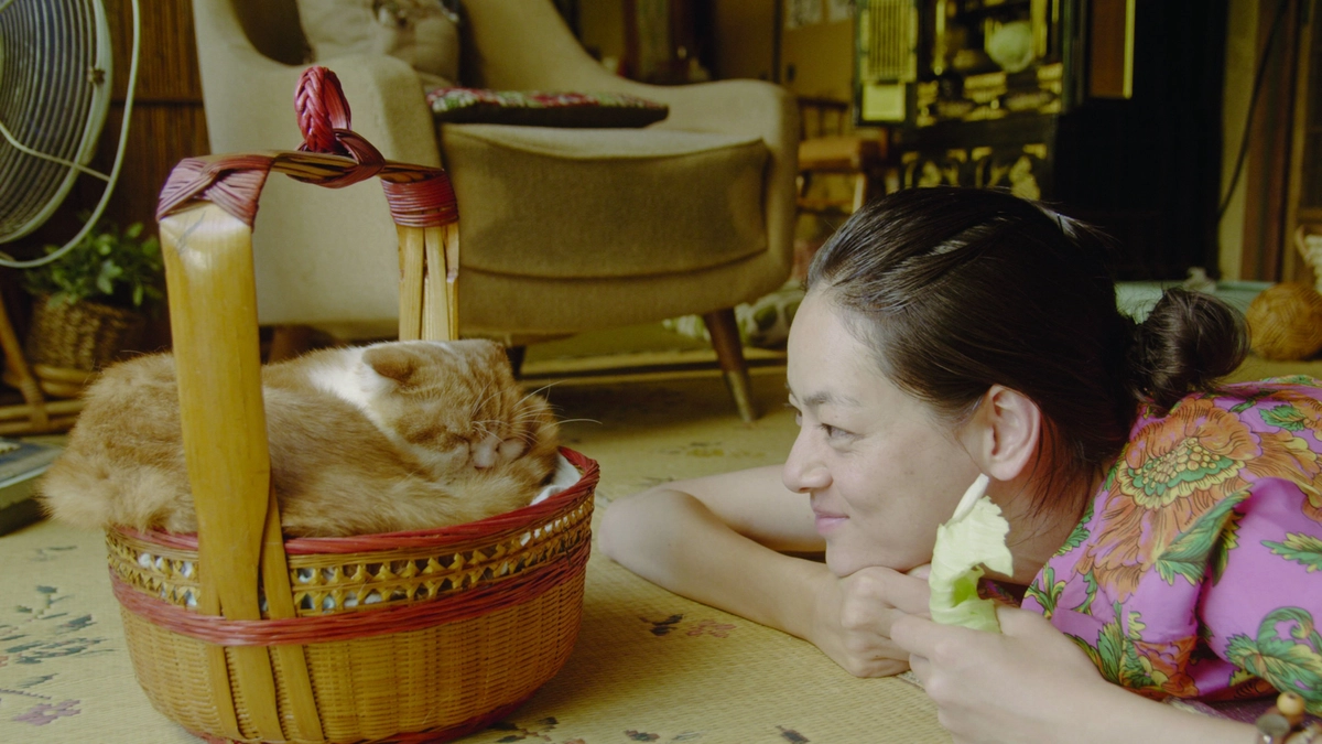 Dịch vụ cho thuê mèo (Rent-a-Cat)